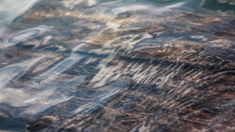 2025 Review: Semaglutide Clinical Research on Long-term Weight Loss - illustration 2