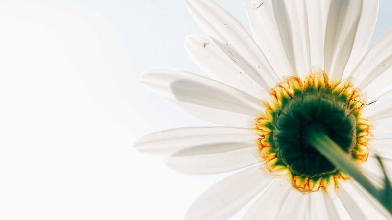 2025 Semaglutide User Review: Real Results and Lifestyle Changes - illustration 1