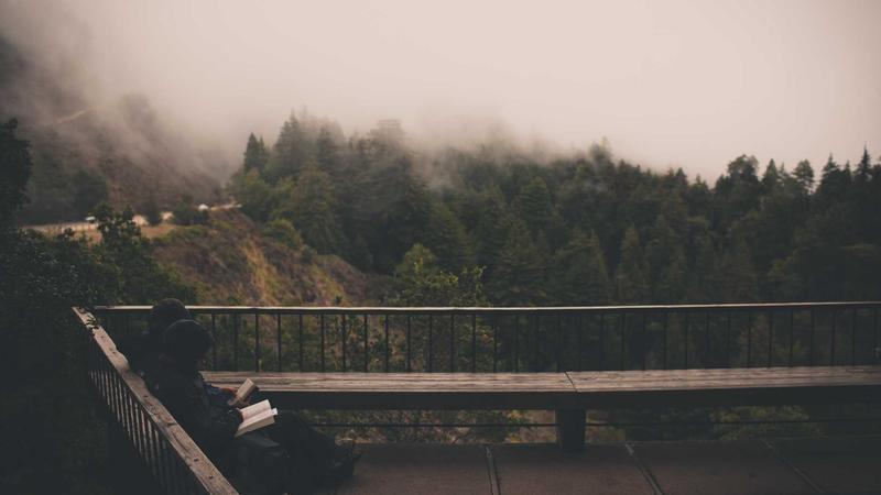 5 Common Semaglutide Side Effects and How to Avoid Them in 2026 - illustration 2