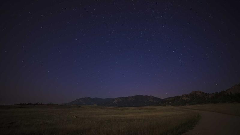 About Jose Thompson - illustration 3