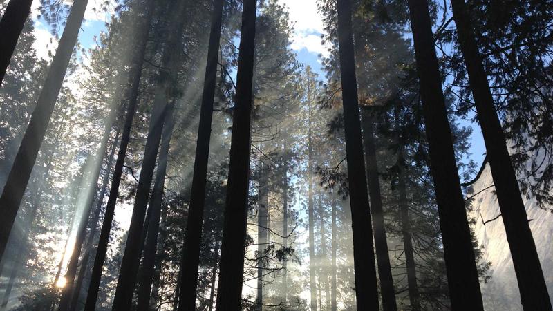 Best Supplements to Reduce Semaglutide Side Effects for Weight Loss 2025 - illustration 1