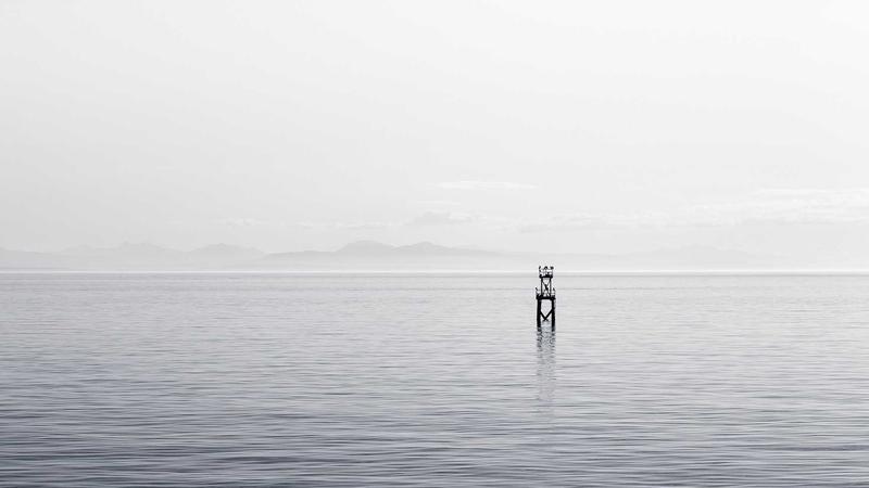 Biohacking Your Way to a Longer Life: Anti-Aging Protocols for People on Weight Loss Medications - illustration 3