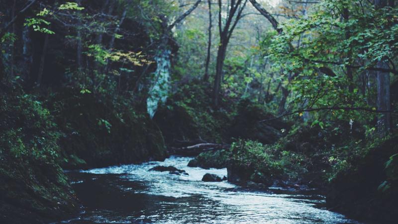 Complete Semaglutide Weight Loss Guide: Dosage, Diet & Exercise 2026 - illustration 2