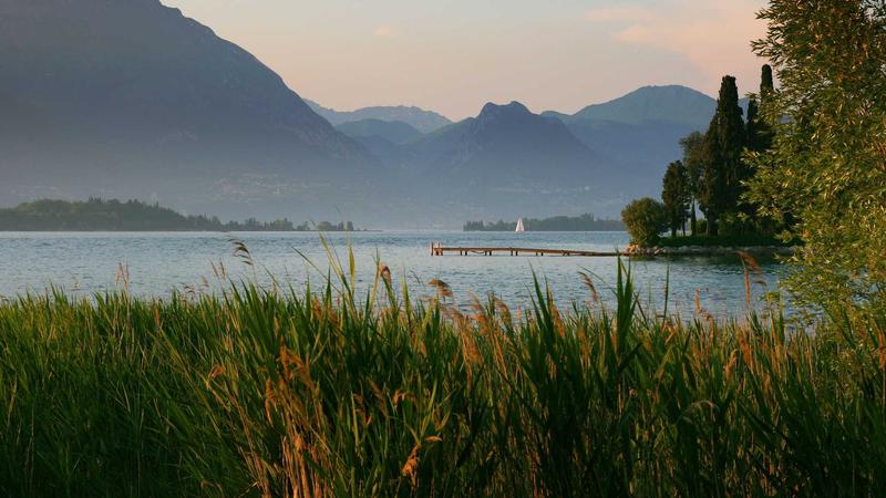 Complete Semaglutide Weight Loss Guide: Dosage, Diet & Exercise 2026 - illustration 3