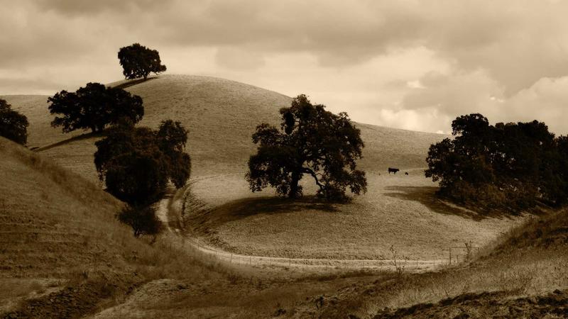 Diet & Lifestyle - illustration 1