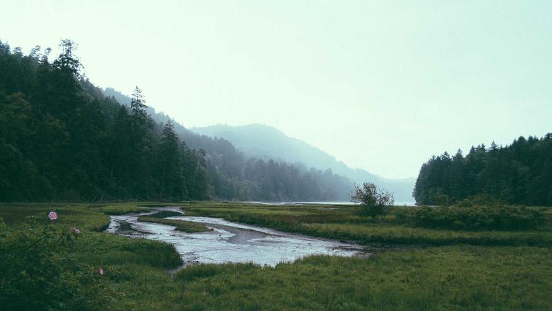 How to Save on Semaglutide Weight Loss Treatment: Insurance Tips 2025 - illustration 3