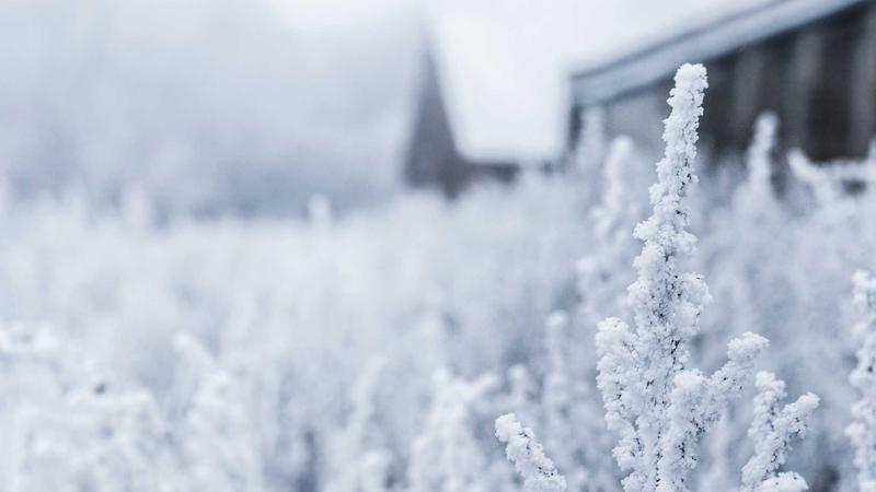 How to Start Semaglutide for Weight Loss: Step-by-Step Guide 2025 - illustration 3