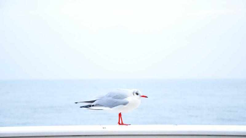 How to Use GLP-1 Medications for Safe Weight Loss: A 2025 Guide - illustration 3