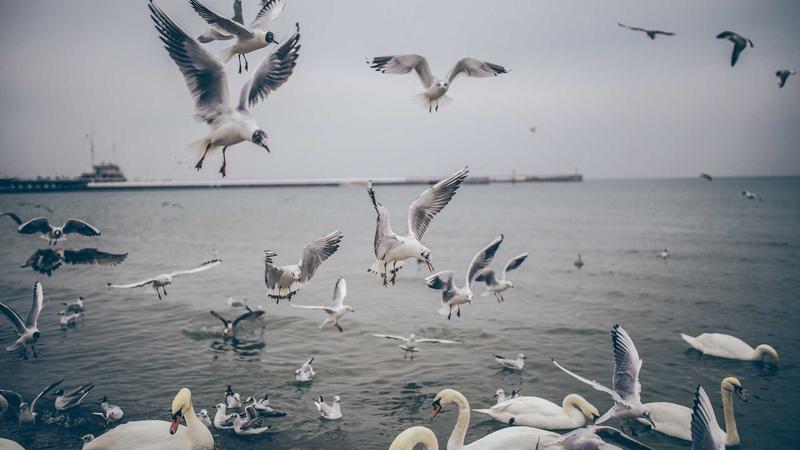 Metabolic Health and Aging: Why Your Weight Matters More Than You Think for Longevity - illustration 1