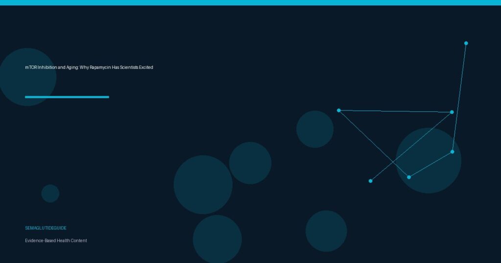 mTOR Inhibition and Aging: Why Rapamycin Has Scientists Excited