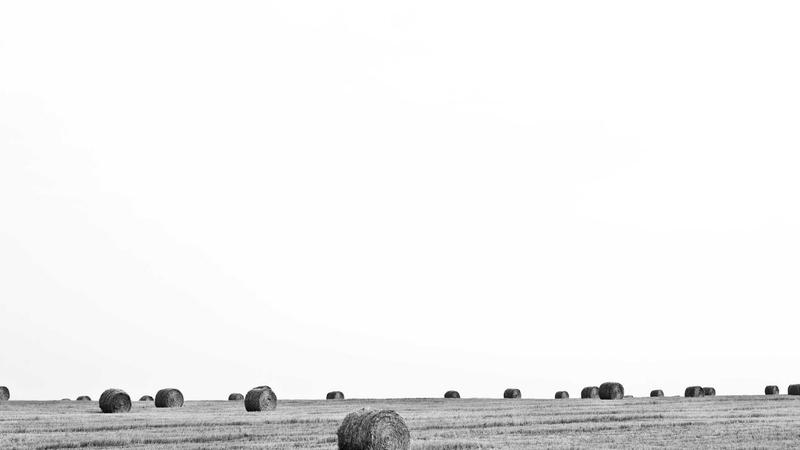 NMN and NAD+ Supplements While on Semaglutide: What You Need to Know - illustration 2