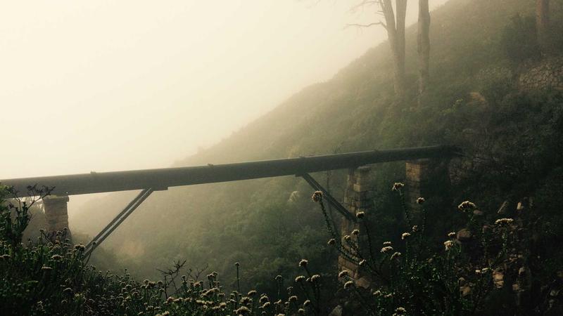 Privacy Policy - illustration 1