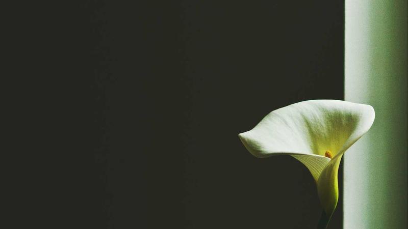 Semaglutide Basics - illustration 3