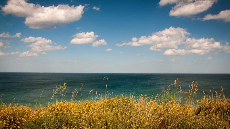 Semaglutide Diet and Lifestyle Guide: Maximize Your Weight Loss Results in 2026 - illustration 1