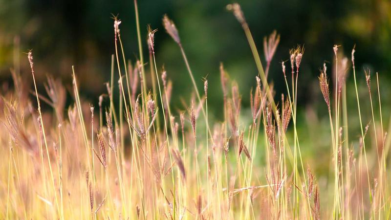 Semaglutide vs Keto: Which Diet Works Better for Weight Loss? - illustration 3