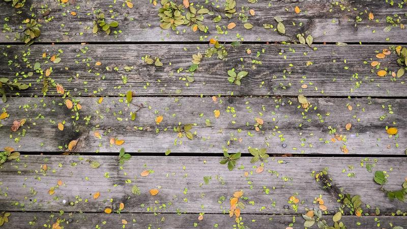 Semaglutide vs Placebo: Weight Loss Results from 2025 Clinical Studies - illustration 2