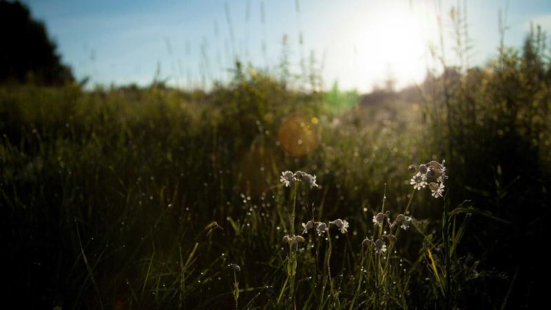 Semaglutide vs Wegovy for Weight Loss: Which Works Better in 2026? - illustration 2