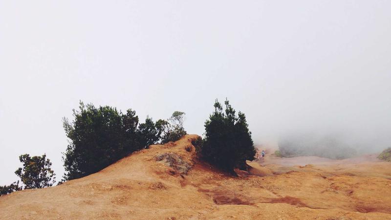 Semaglutide Weight Loss Cost Guide 2025: What You Need to Know - illustration 1