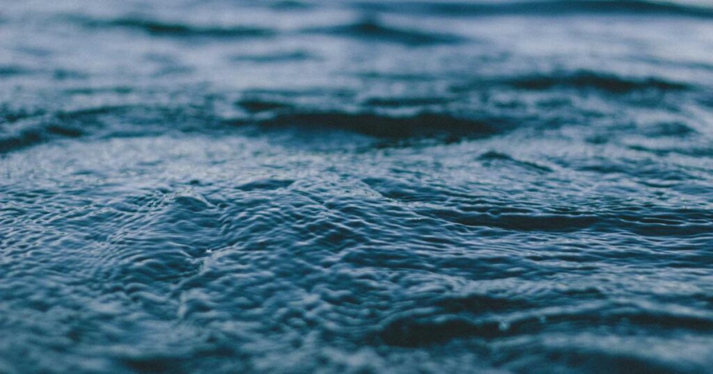 Weight Loss Results Weight Loss Results