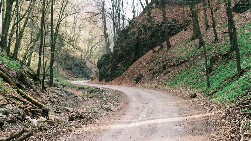 The Complete Semaglutide Guide 2026: Dosage, Results, Side Effects, and Everything In Between - illustration 1