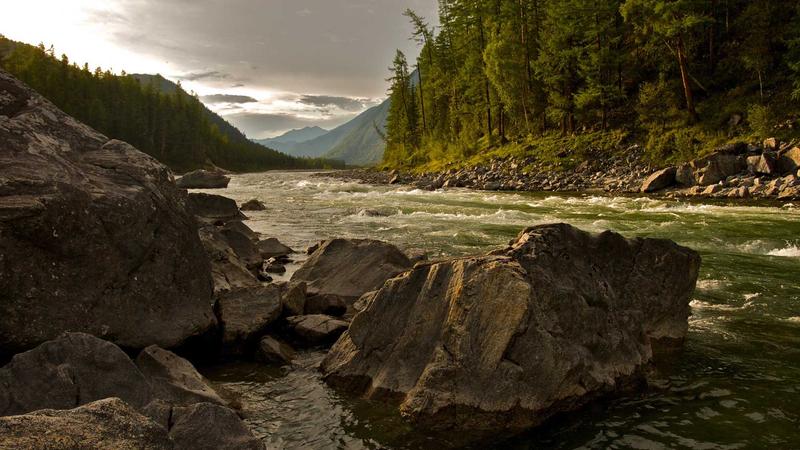 Top 10 Semaglutide Success Stories Showing Real Weight Loss 2026 - illustration 3