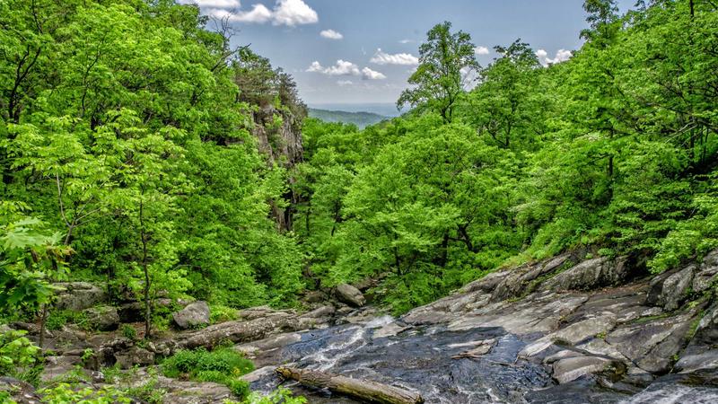 Top 5 Semaglutide Benefits for Weight Loss Backed by Science 2025 - illustration 1