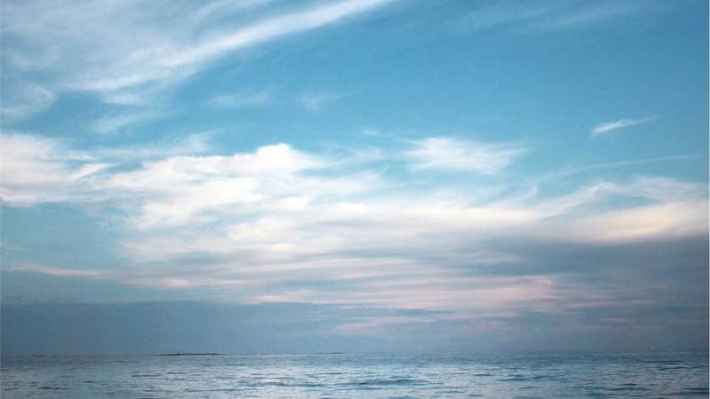 Top 5 Semaglutide Clinical Trials for Weight Loss in 2025 - illustration 2