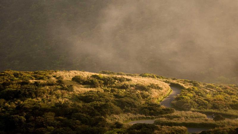 Top 7 Affordable GLP-1 Medications for Weight Loss in 2026 - illustration 1