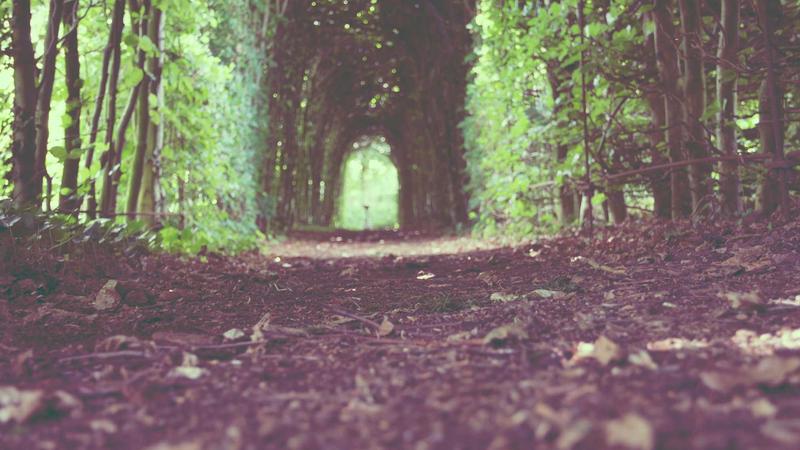 Top 7 Affordable GLP-1 Medications for Weight Loss in 2026 - illustration 3