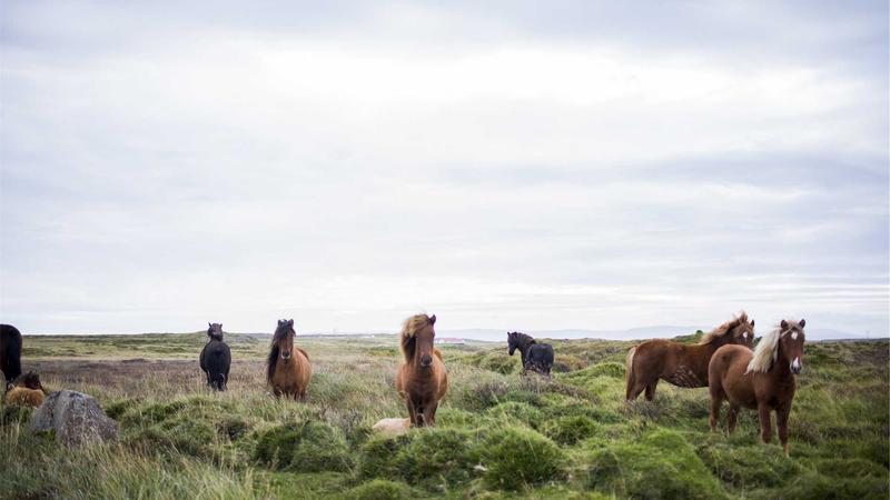 Top 7 Insurance Providers Covering Semaglutide Weight Loss in 2026 - illustration 2