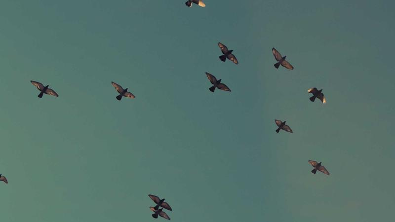 Top 7 Semaglutide Side Effects Reported in 2025 Clinical Weight Loss Trials - illustration 3